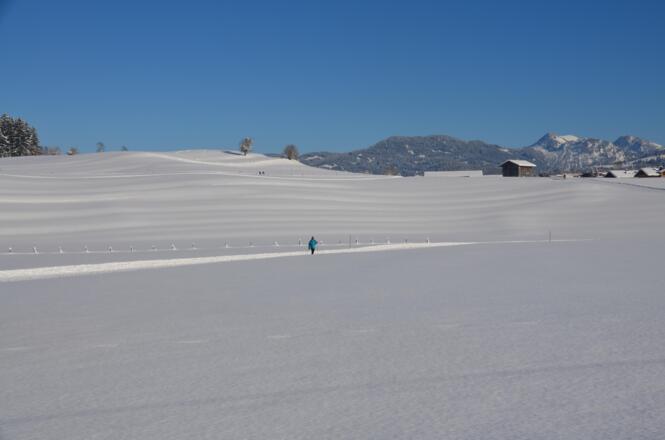 Winterlandschaft Langlauf