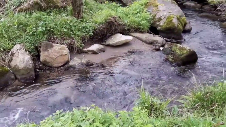 Englmarbach mit Granitbrücke