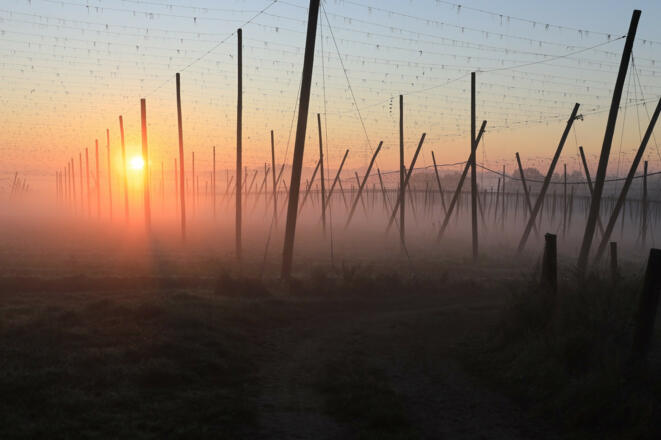 Holledau Apartments Familie Gmeineder (Au in der Hallertau)