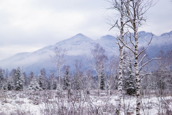 Unterwegs im Staudach-Egerndacher Moor