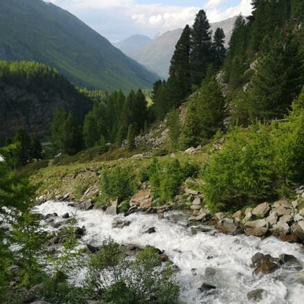 IMG_20200627_191839_315