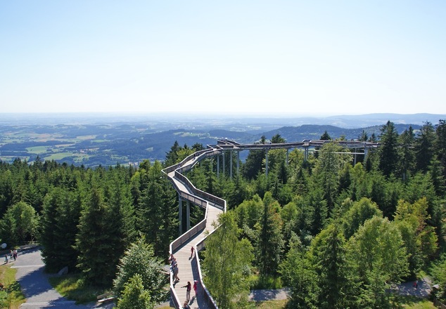 WaldWipfelWeg Maibrunn