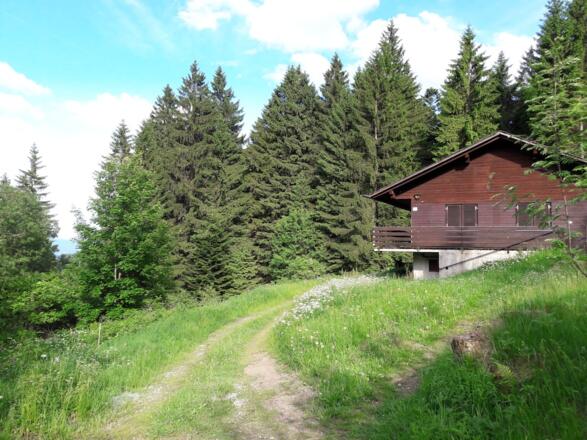 Hohenried