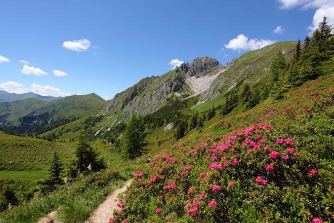 Blick auf Draugstein