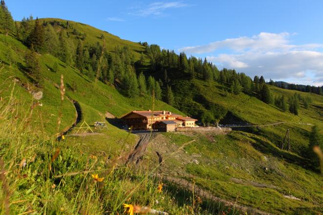 Loosbühelalm