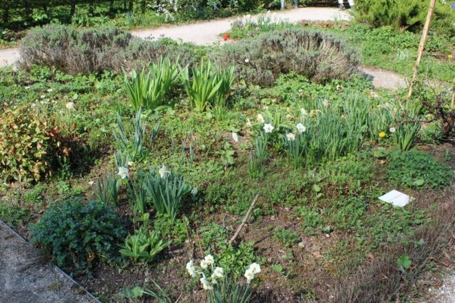 Riedergarten