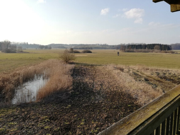 Ausblick vom Vogelbeobachtungsturm im Freisinger Moos