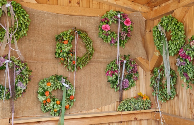 Hopfenkränze©Hallertauer Hopfenerlebnishof Blomoser