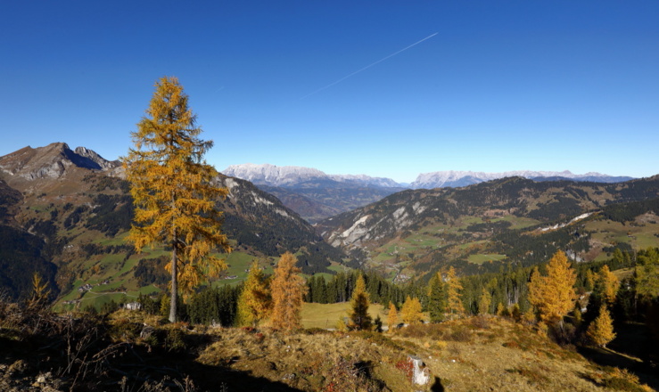 Bergpanorama Herbst