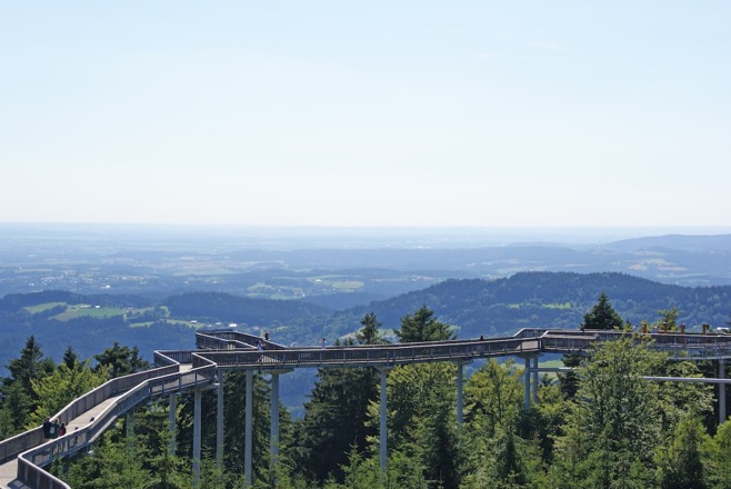 WaldWipfelWeg Maibrunn