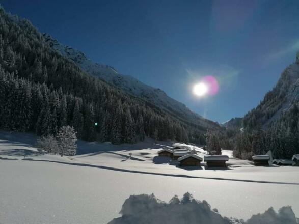 Winter 2
