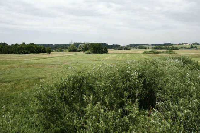Landschaftsschutzgebiet Freisinger Moos