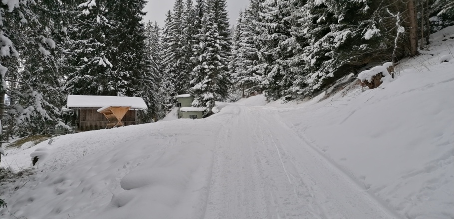 Wildtierfütterung