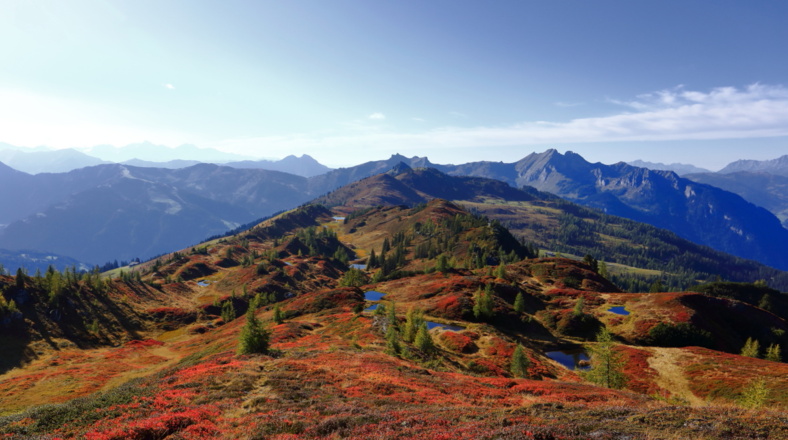 Ausblick vom Gründegg Herbst