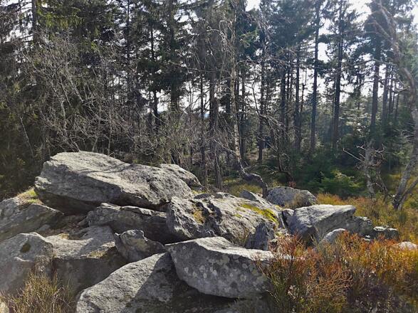 Hanichelriegel - Blick nach Süden