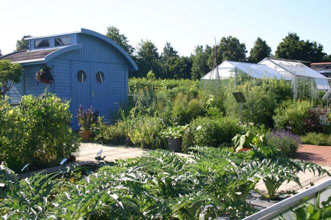 Gartenhaus im Kleingarten - Weihenstephaner Gärten in Freising