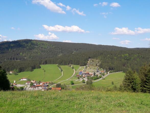 Grün mit Sommerrodelbahnen