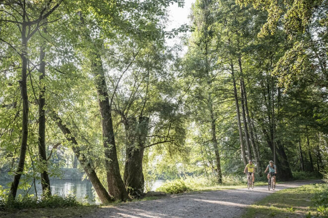Radfahren an der Isar - Isarauen zwischen Hangenham und Moosburg
