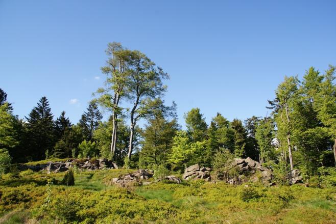 Hochberg - 2. Felsriegel