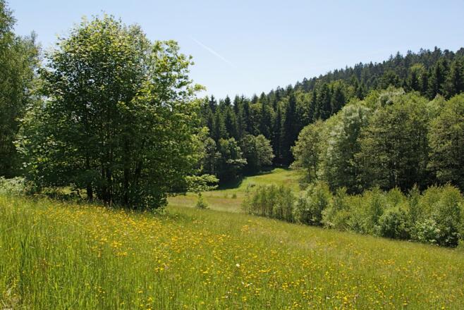Bachlandschaft vor Grünmühl