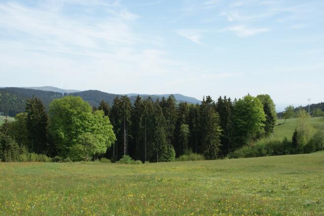 Aussicht von Maibrunn zu Hirschenstein und Schopf vom Weg nach Klinglbach