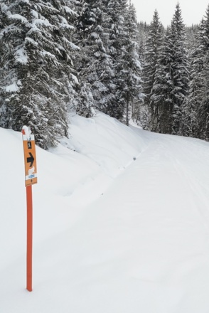 Markierte Skitour im Bereich der Bergbahnen