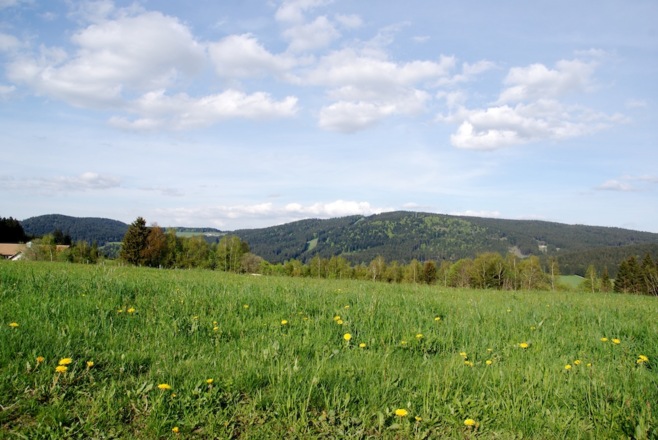 Sicht zur Käsplatte und Pröller vom Weg nach Maibrunn