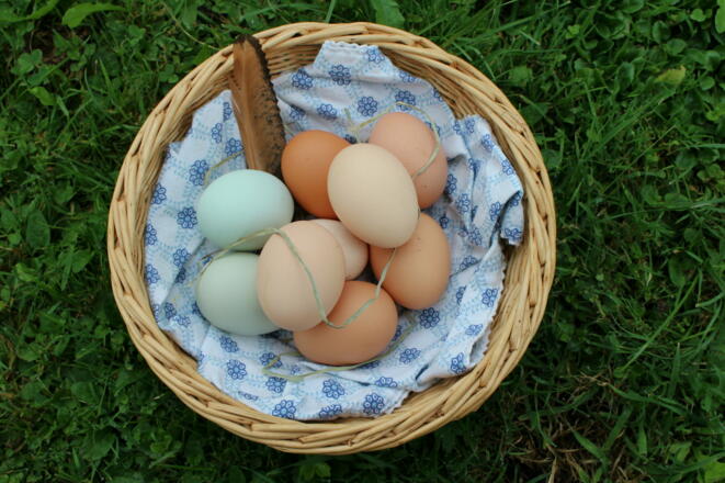 Frühstückseier von glücklichen Hühnern