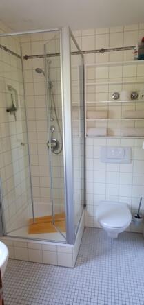 Silberdistel Tageslichtbad