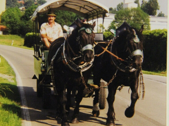 Kutsche Straßberger_2