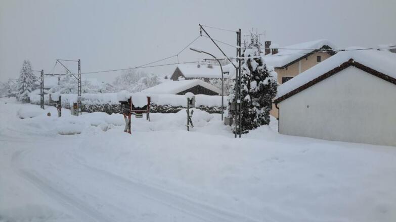 Winter