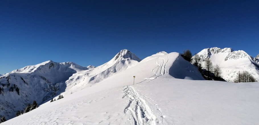 Dem Rücken entlang, hinten die Rothornspitze im Blick
