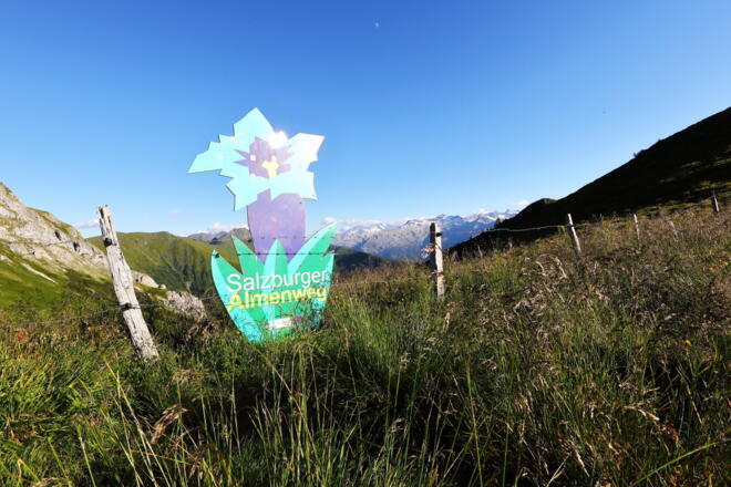 Salzburger Almenweg