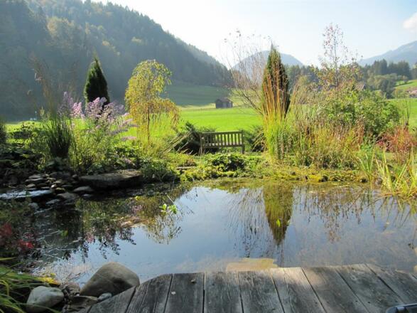 Am Teich