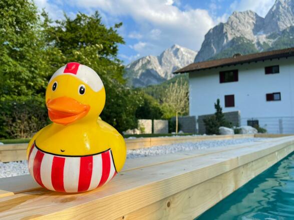 Pool-Ente-Alpspitz