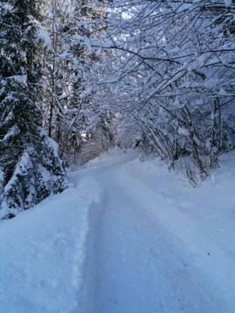 Kreuzung Straße zum Hilaribergl und Kreuzweg