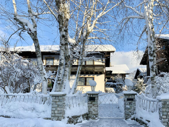 Birkenhof im Winter