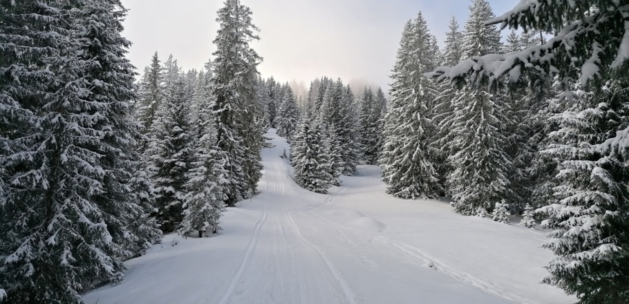 Vor der Hütte wird es nochmal steil