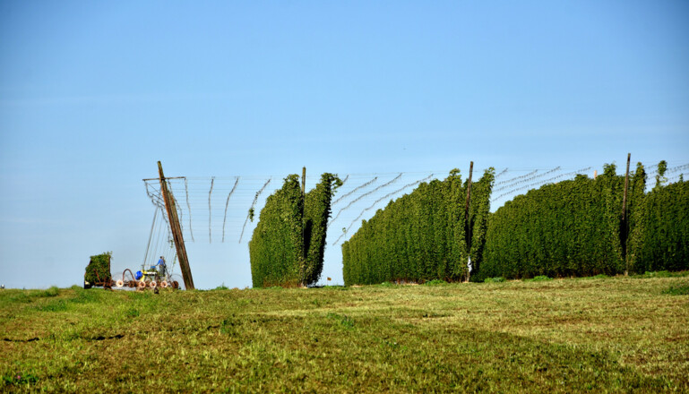Image_Haus-der-Halleretau (c) Johann Englmüller
