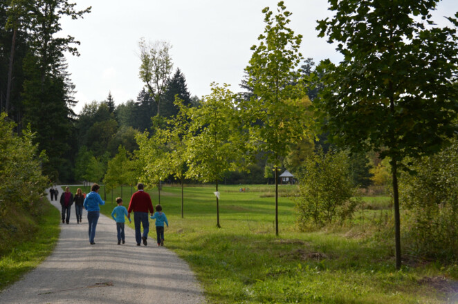 Tulpenbaumallee im Weltwald Freising