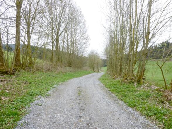 Weg von Grün nach Grünmühl