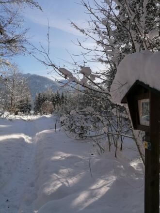 Winterlandschaft Kramsach Hilaribergl