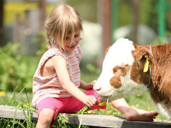 Idyllisches Landleben auf dem Erlebnisbauernhof WIESER