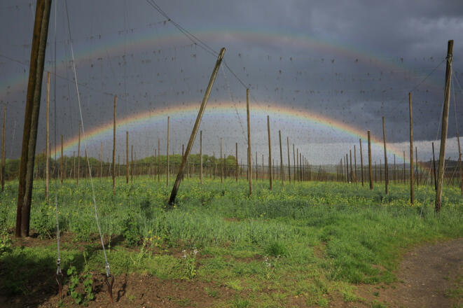 Holledau Apartments Familie Gmeineder (Au in der Hallertau)