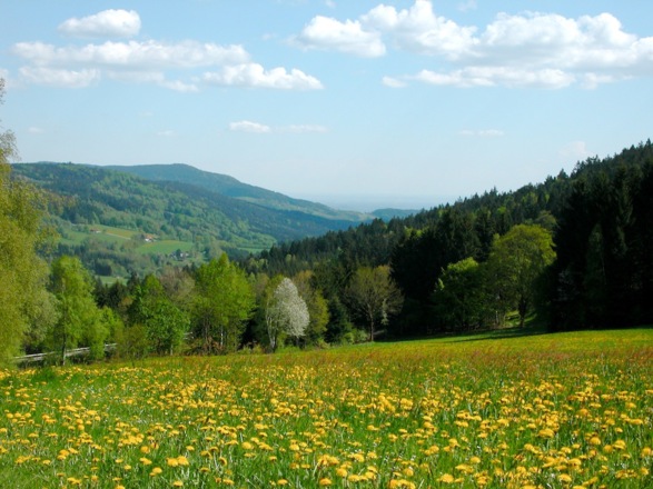 Ausblick vom Weg nach Grün