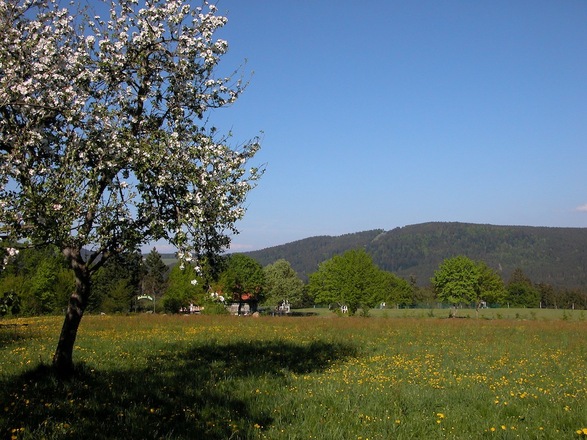 Pröller von Maibrunn