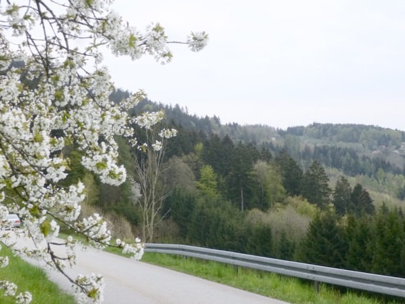 Fernsicht von Hagnberg nach Niederhofen