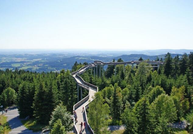 WaldWipfelWeg Maibrunn