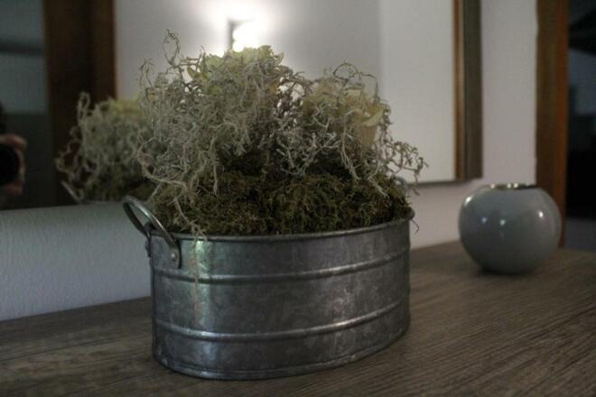 Ferienwohnung Staudacher