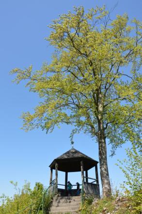 Wagnershöhe Gößweinstein